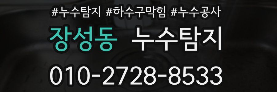 장성동 누수탐지업체