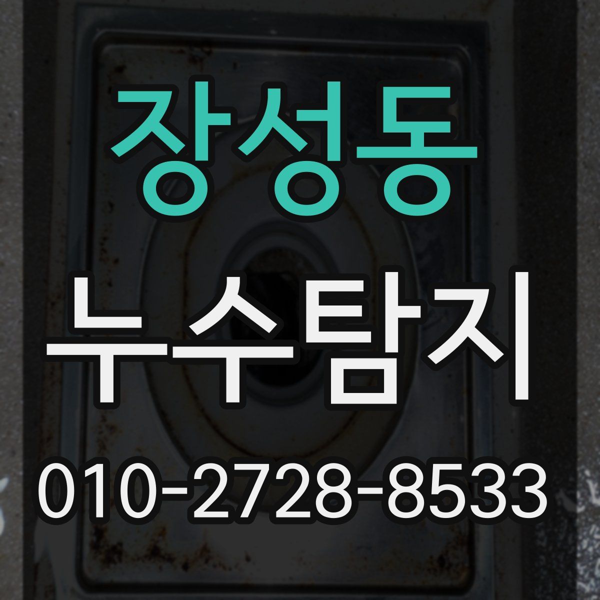 장성동 누수탐지