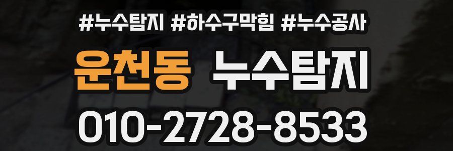 운천동 누수탐지업체