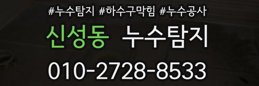 신성동 누수탐지업체