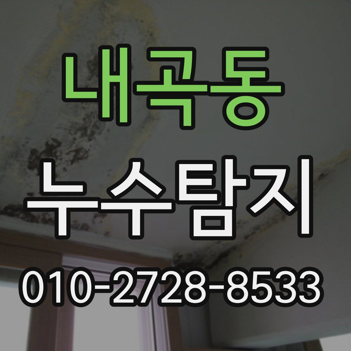 내곡동 누수탐지