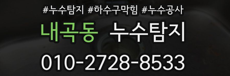 내곡동 누수탐지업체