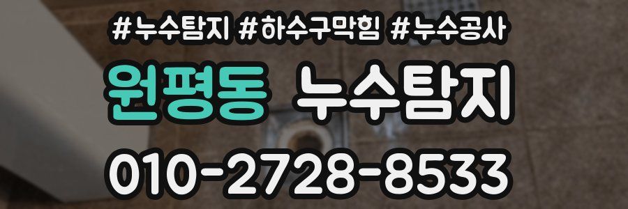 원평동 누수탐지업체