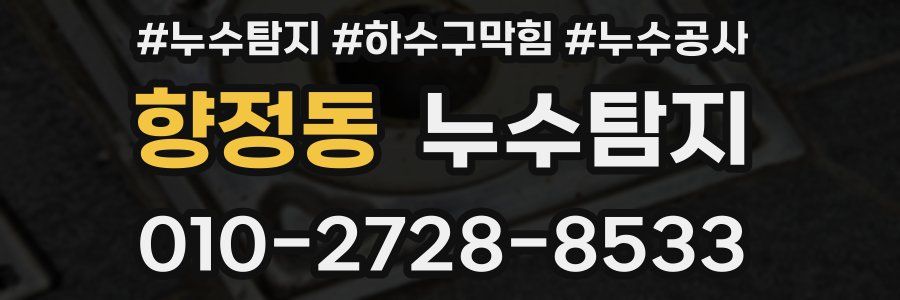 향정동 누수탐지업체