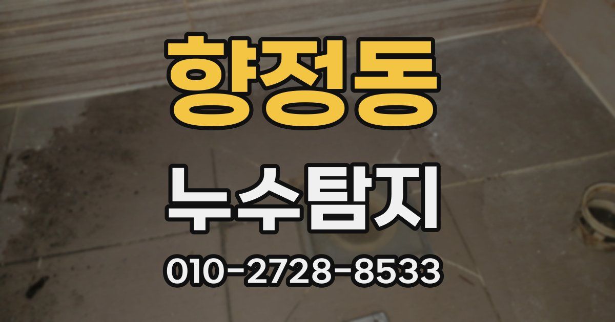 향정동 누수공사