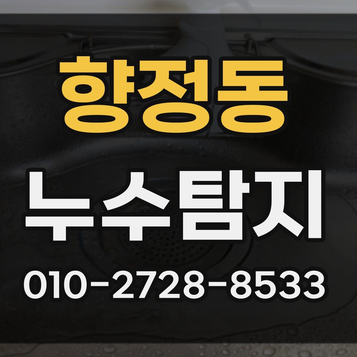 향정동 누수탐지