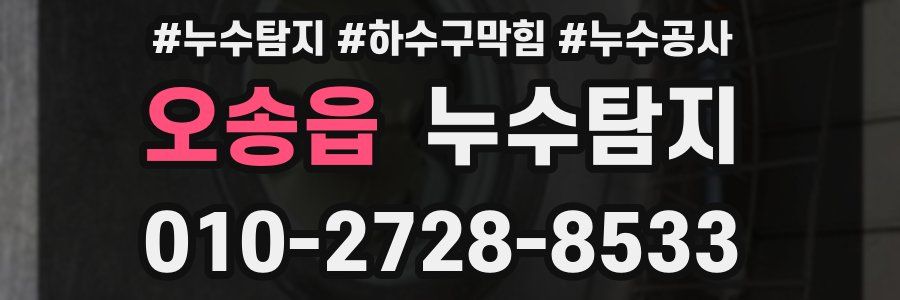 오송읍 누수탐지업체