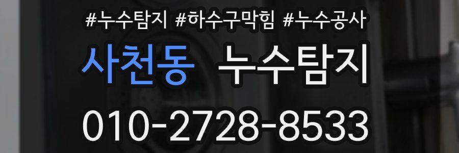 사천동 누수탐지업체