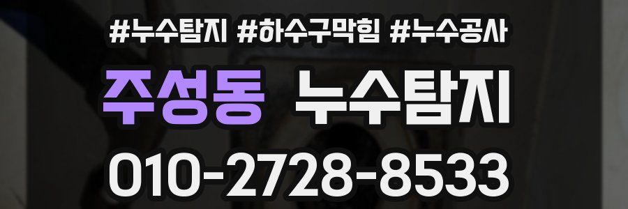 주성동 누수탐지업체