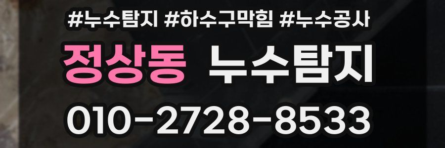 정상동 누수탐지업체