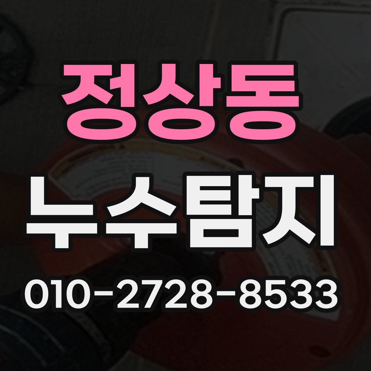 정상동 누수탐지