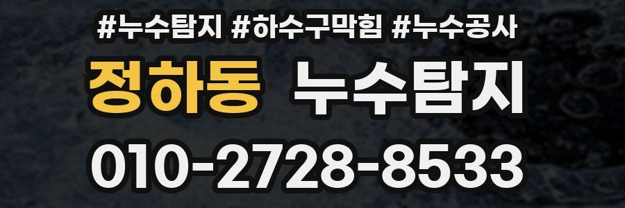 정하동 누수탐지업체