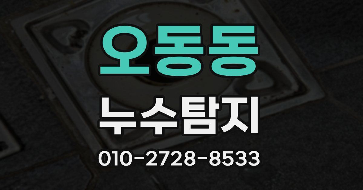 오동동 누수공사