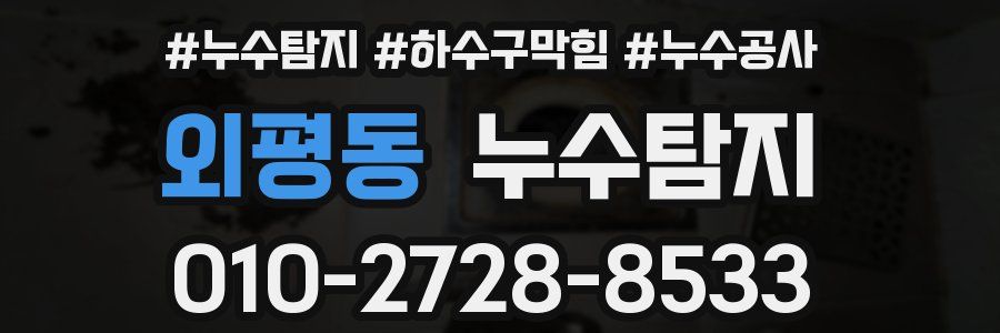 외평동 누수탐지업체