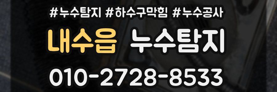 내수읍 누수탐지업체