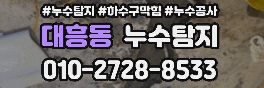 대흥동 누수탐지업체
