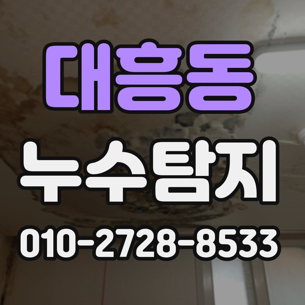 대흥동 누수탐지