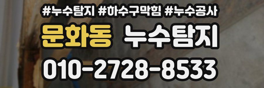 문화동 누수탐지업체