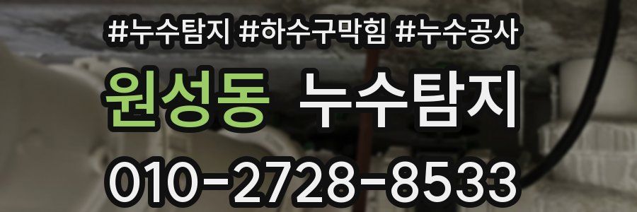 원성동 누수탐지업체