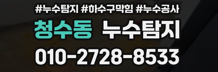 청수동 누수탐지업체