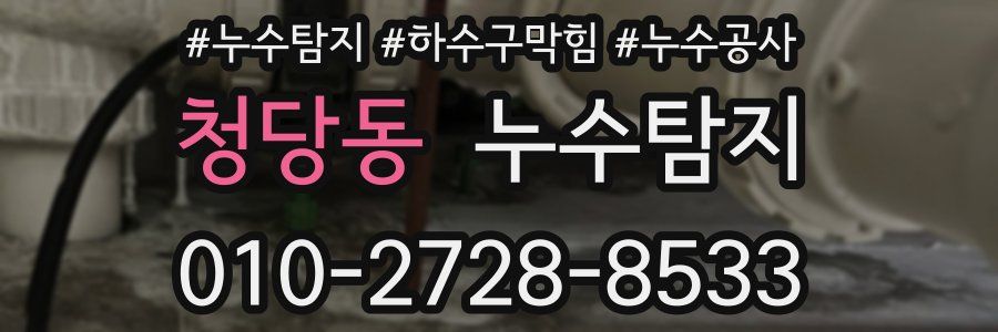 청당동 누수탐지업체