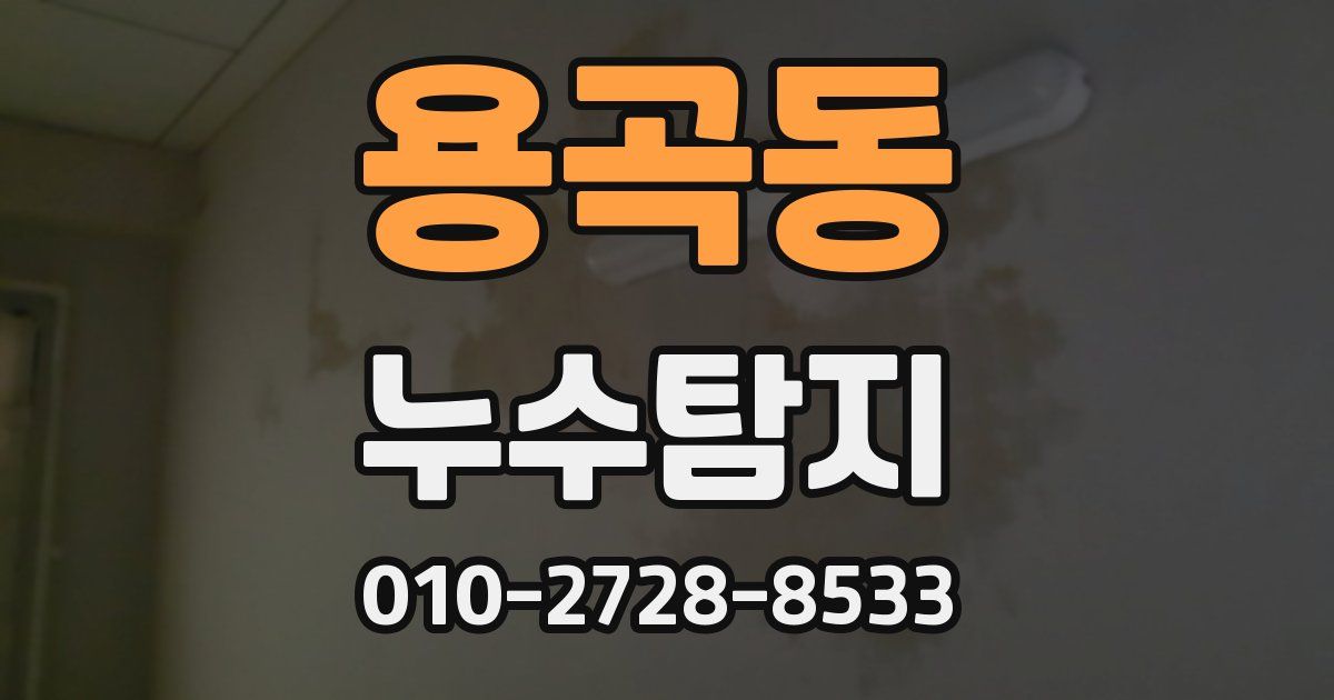 용곡동 누수공사