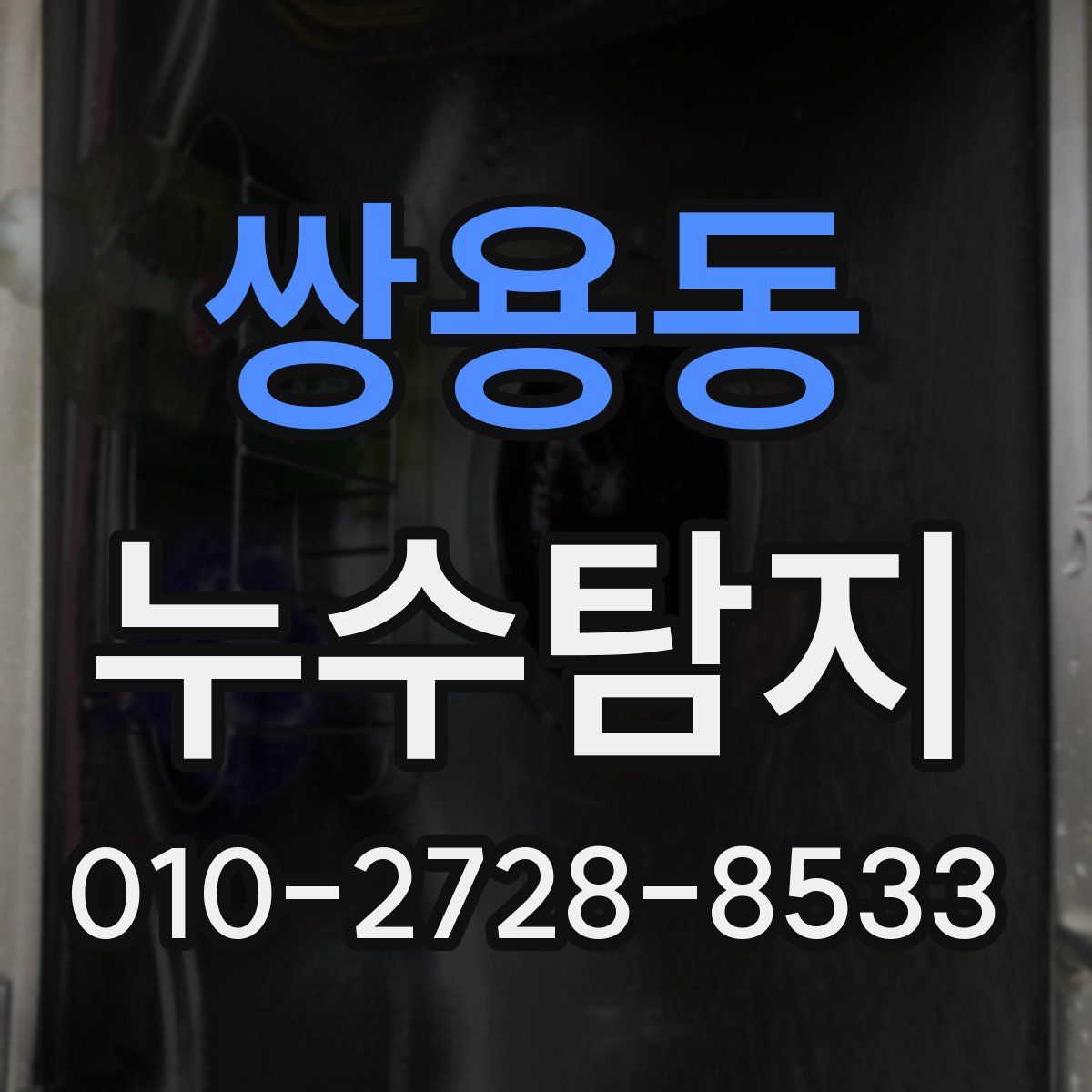 쌍용동 누수탐지