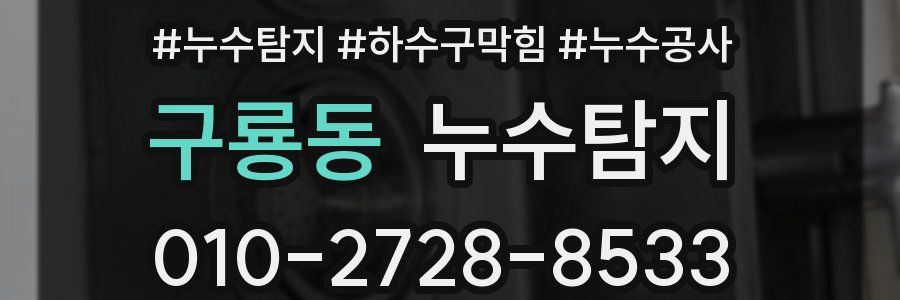 구룡동 누수탐지업체