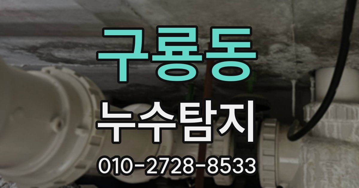 구룡동 누수공사