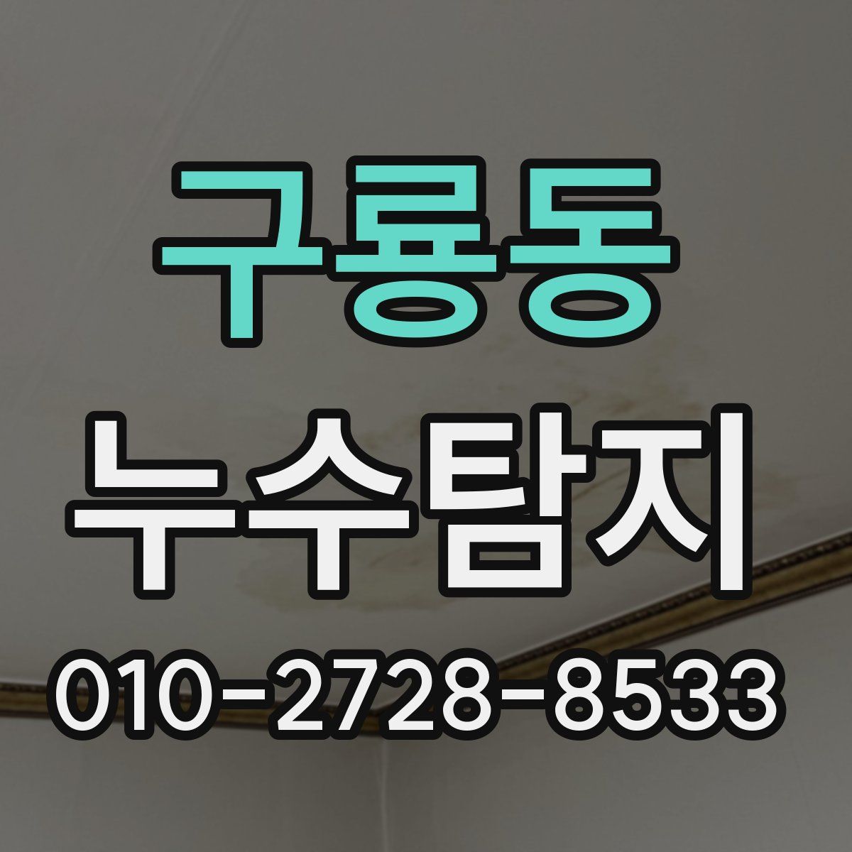 구룡동 누수탐지