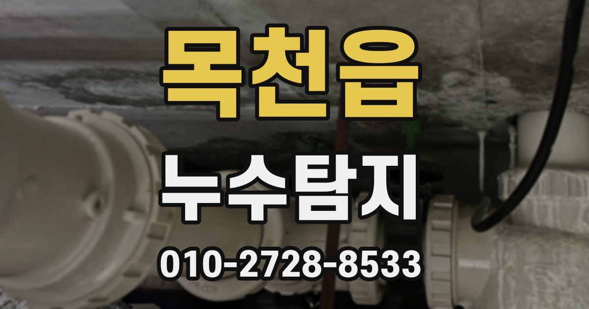 목천읍 누수공사