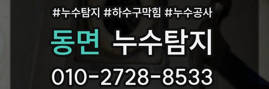 동면 누수탐지업체