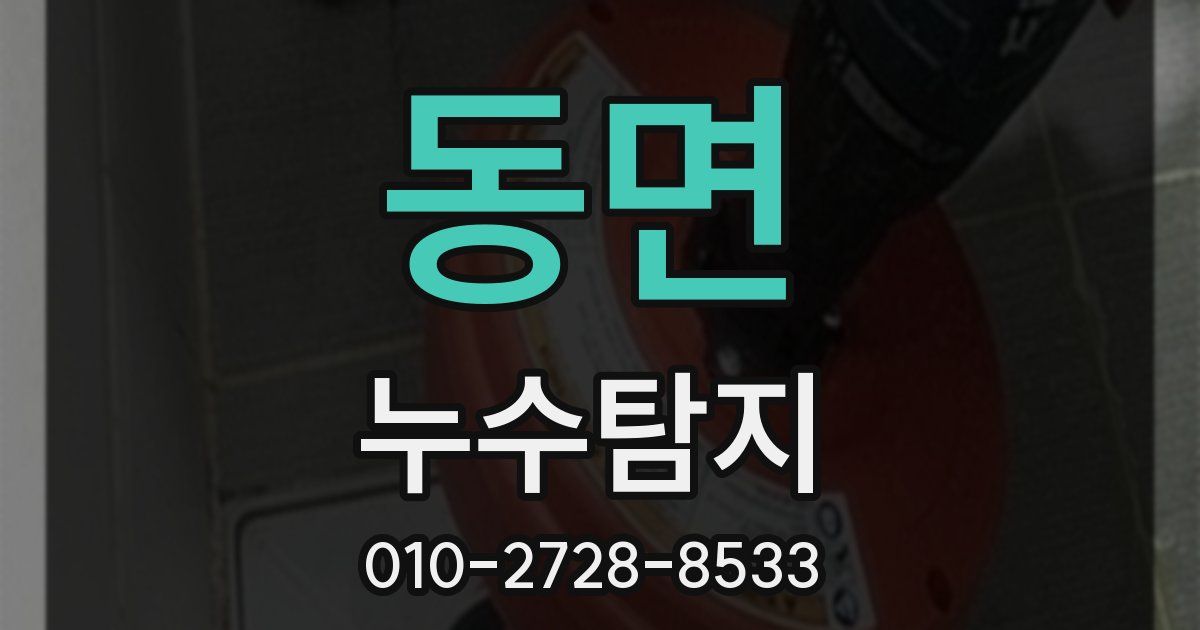 동면 누수공사