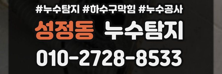 성정동 누수탐지업체