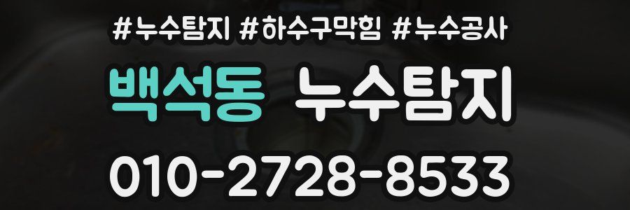 백석동 누수탐지업체