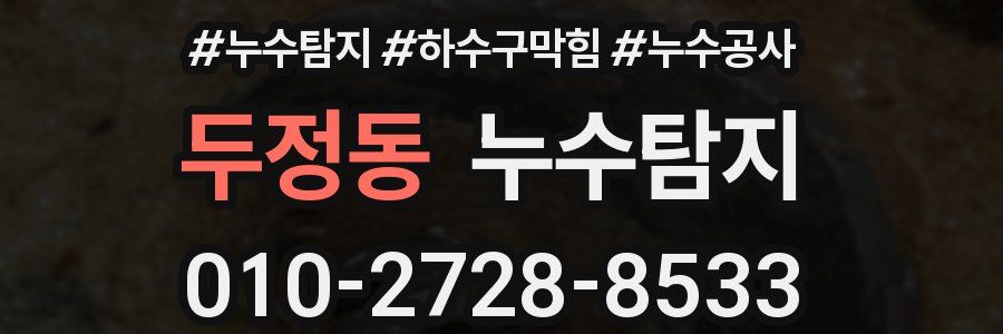 두정동 누수탐지업체