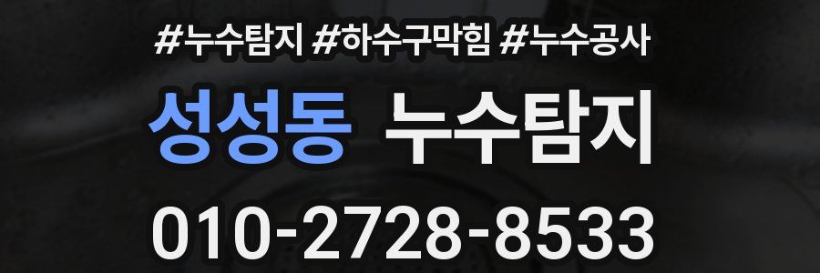 성성동 누수탐지업체
