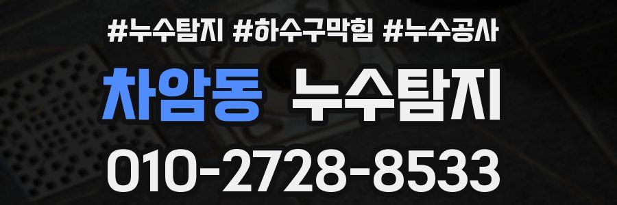 차암동 누수탐지업체