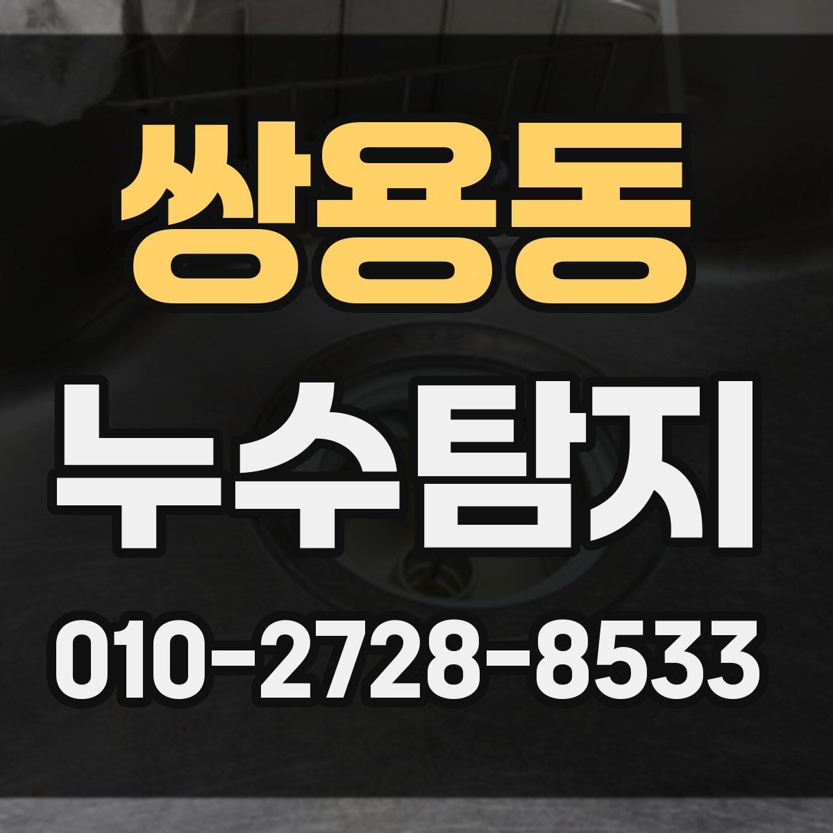 쌍용동 누수탐지