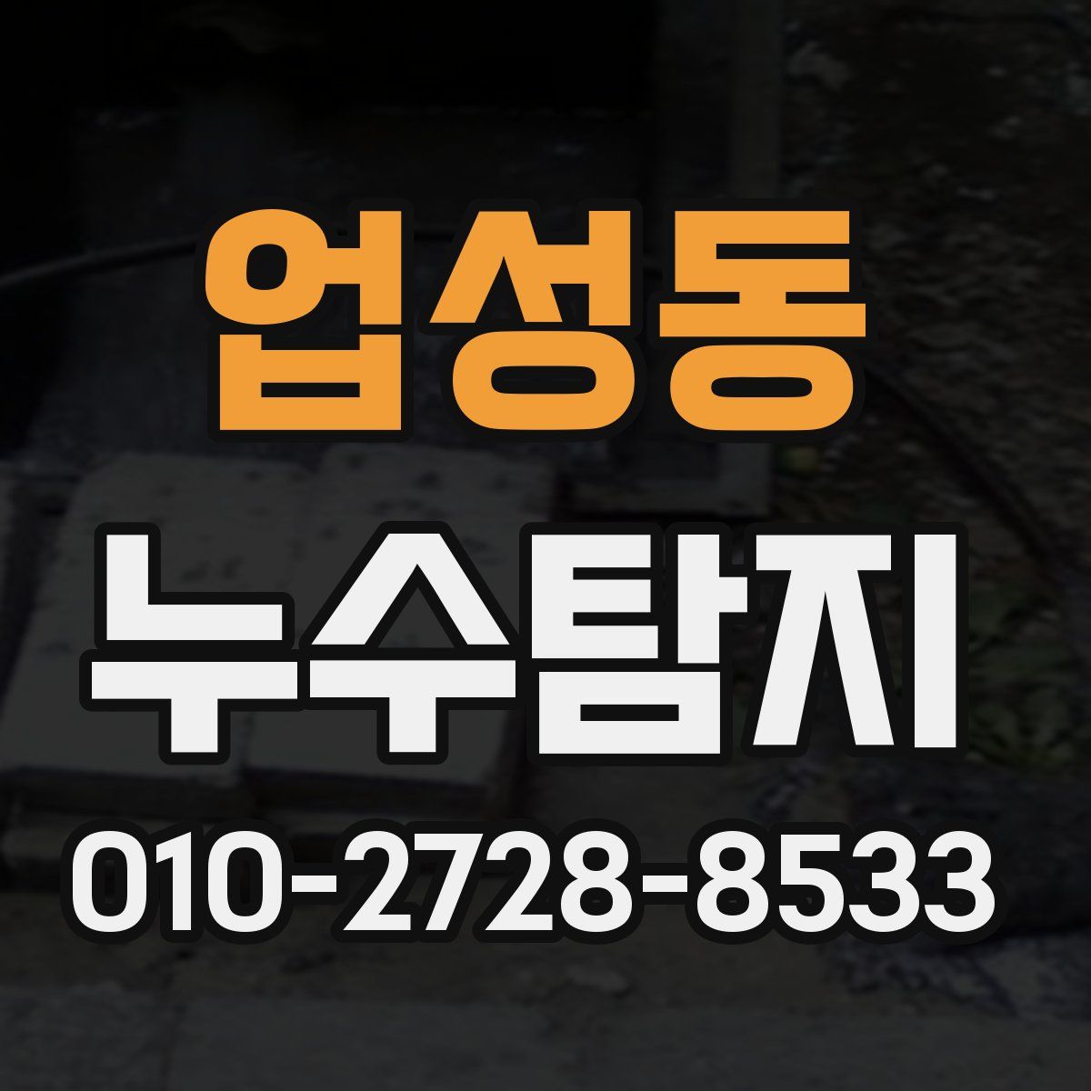 업성동 누수탐지