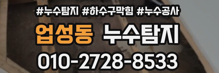 업성동 누수탐지업체