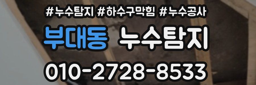 부대동 누수탐지업체