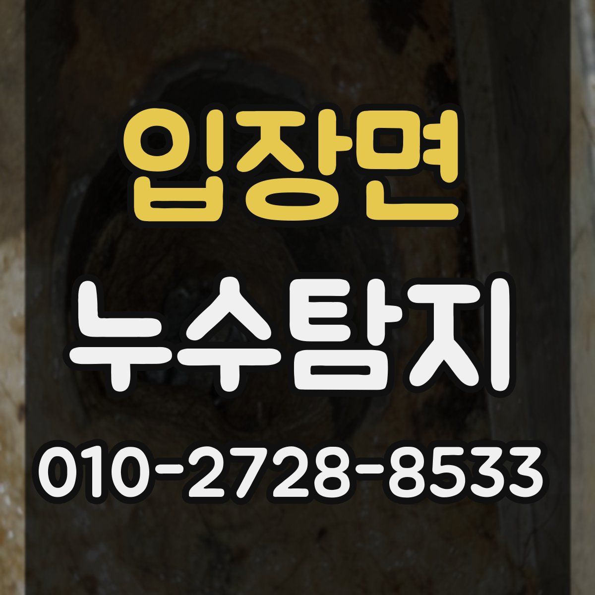 입장면 누수탐지