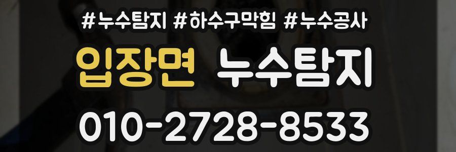 입장면 누수탐지업체