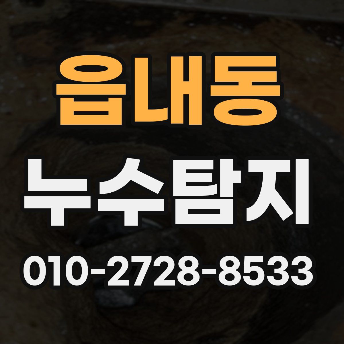 읍내동 누수탐지