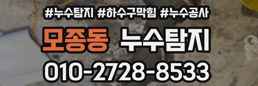 모종동 누수탐지업체