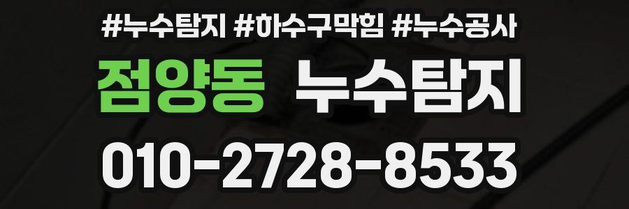 점양동 누수탐지업체