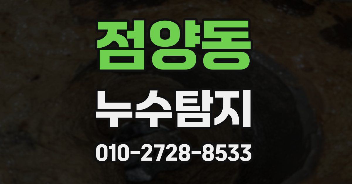 점양동 누수공사