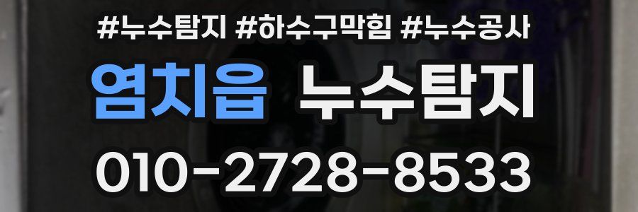 염치읍 누수탐지업체