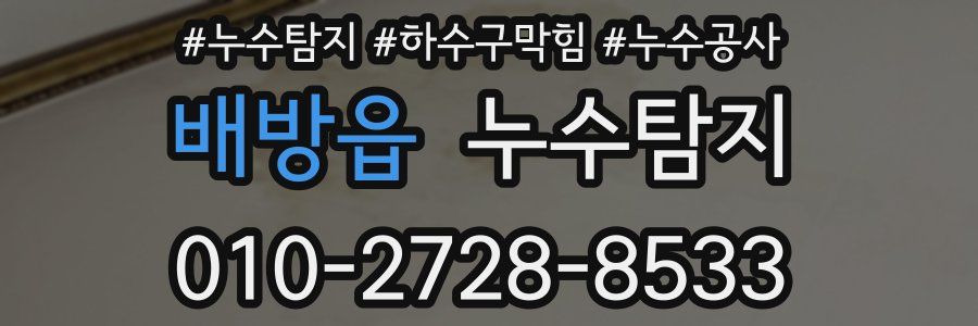 배방읍 누수탐지업체